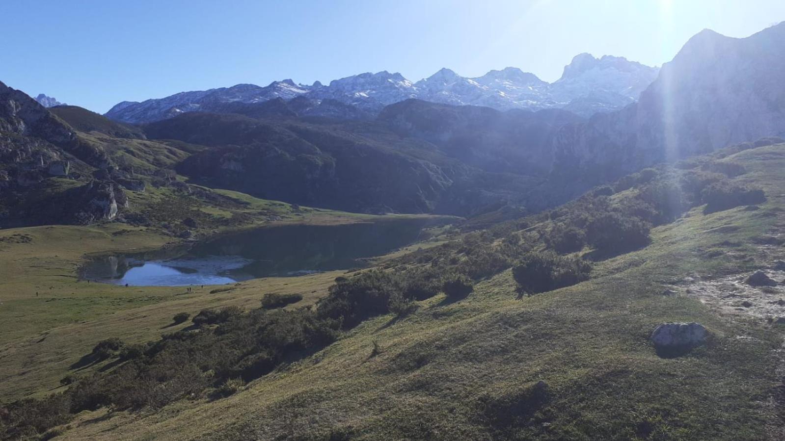 La Nueva Covadonguina Daire Onís Dış mekan fotoğraf