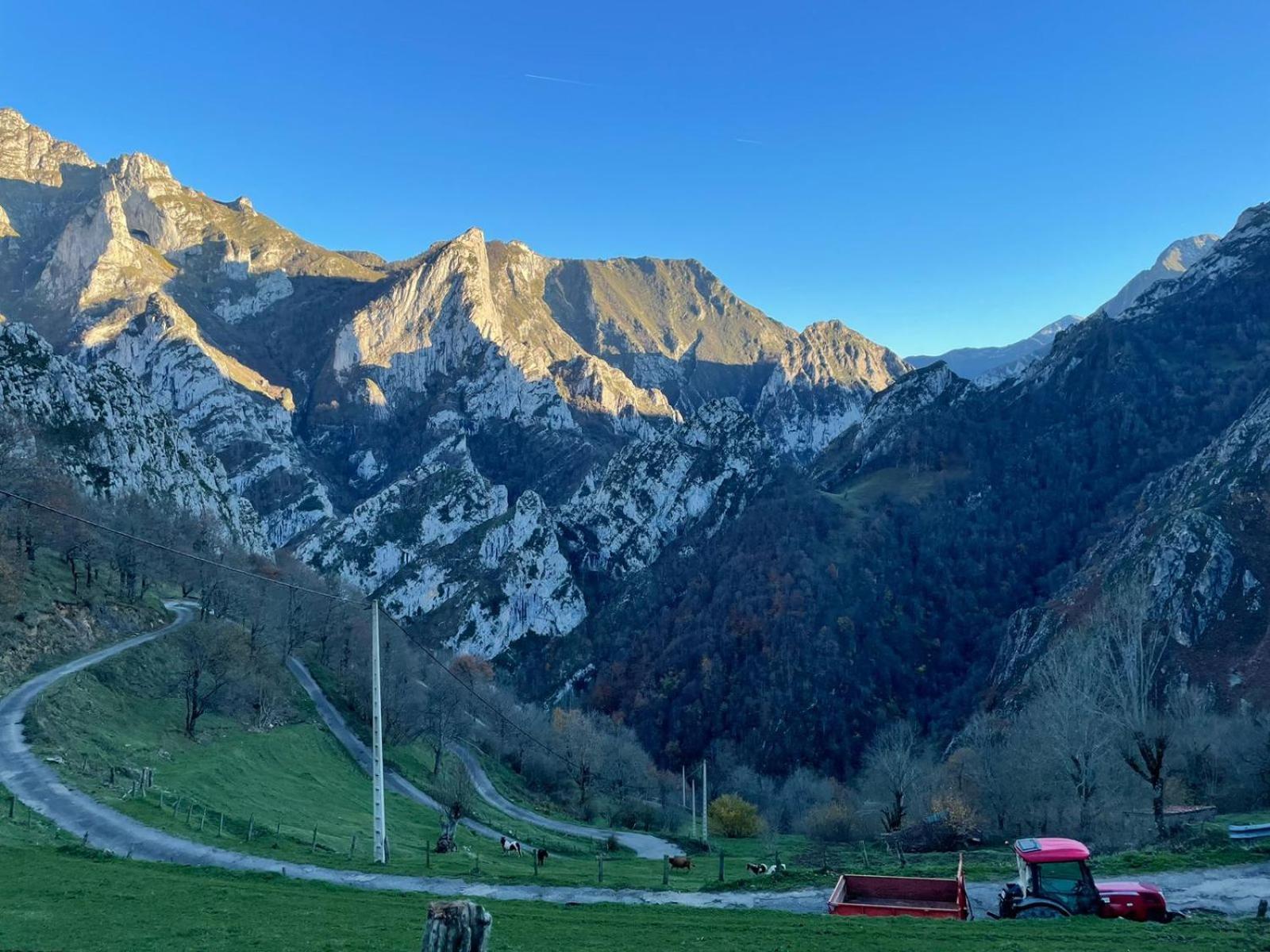 La Nueva Covadonguina Daire Onís Dış mekan fotoğraf